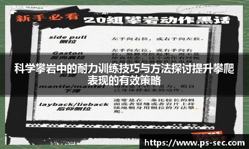 星空dian'j官网入口