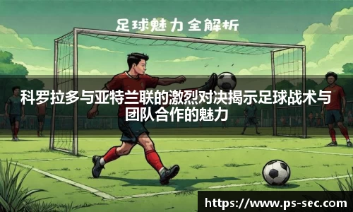 星空dian'j官网入口