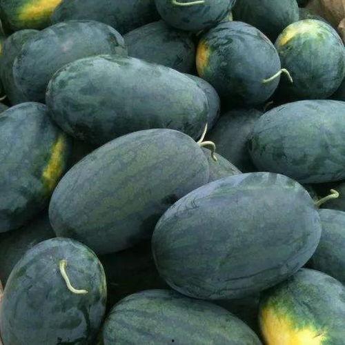 今日黑瓜吃料a,揭秘热门话题背后的真相与内幕